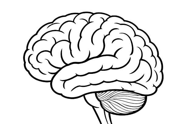 cerebro